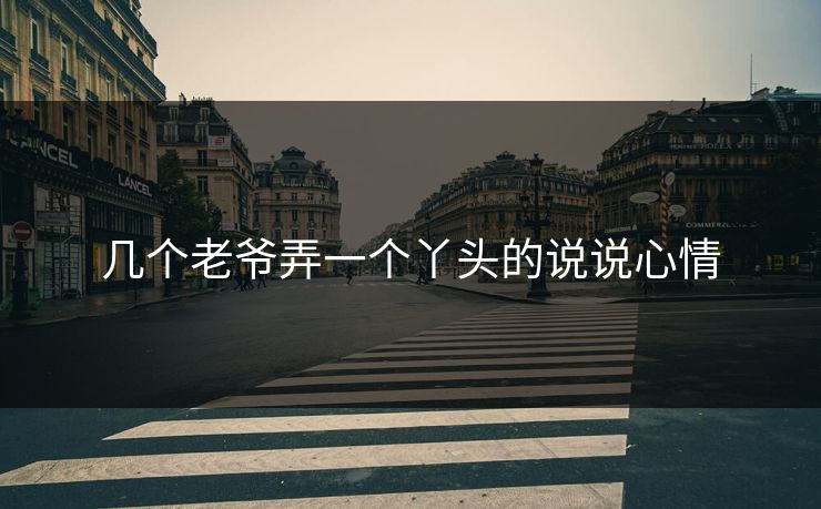 几个老爷弄一个丫头的说说心情