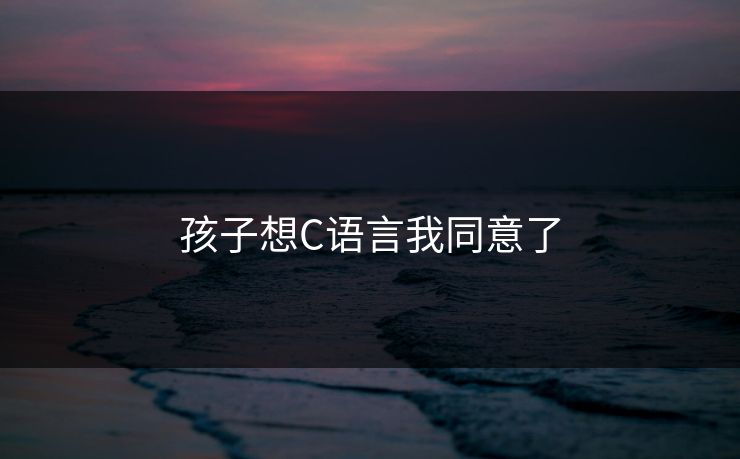 孩子想C语言我同意了 孩子想C语言我同意了