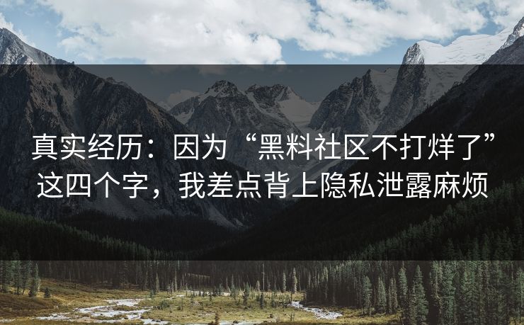 真实经历:因为“黑料社区不打烊了”这四个字,我差点背上隐私泄露麻烦 真实经历:因为“黑料社区不打烊了”这四个字,我差点背上隐私泄露麻烦